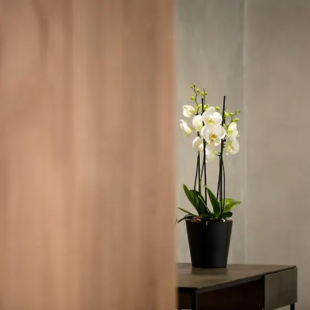 Dom Carlos Park Lisbon