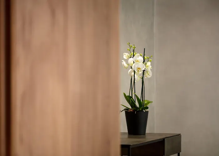 Dom Carlos Park Lisbon