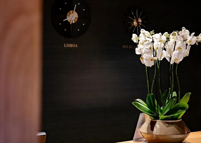 Dom Carlos Park Hotel